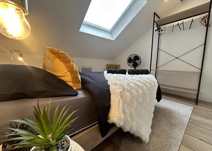 Casa Balzac - T2 * Анже